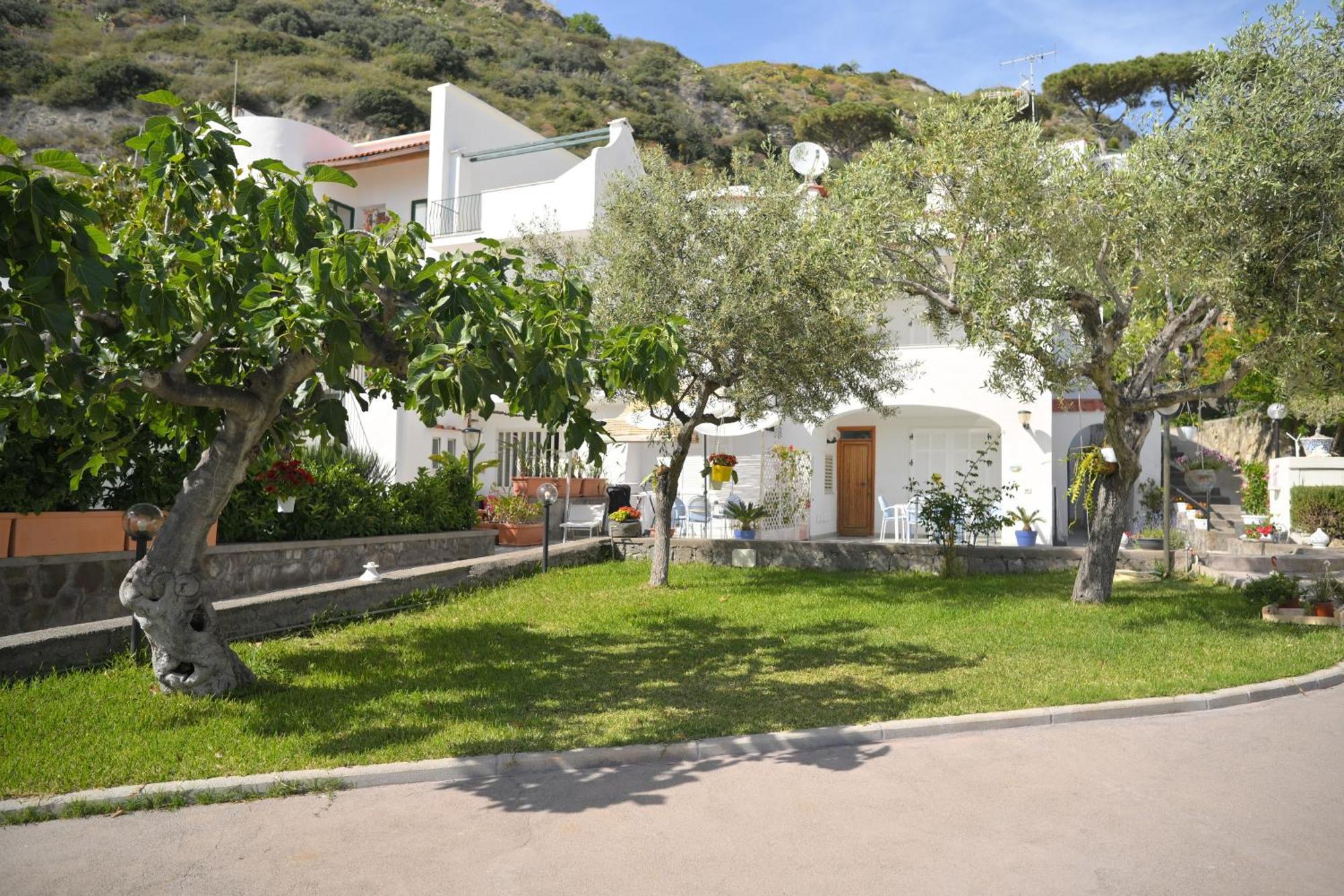 Blu Maronti Apartman Barano dʼIschia Kültér fotó